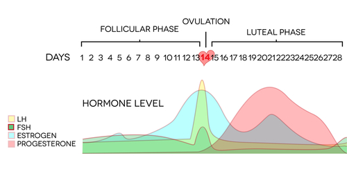 Length of luteal phase (bars) and lowest serum progesterone (®lled