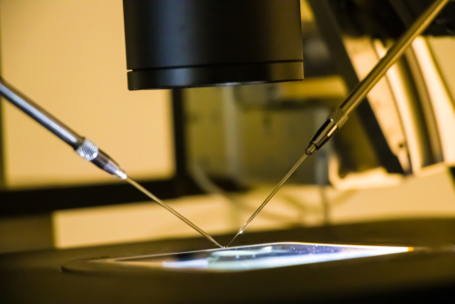 &laquo;Liten&raquo; risiko for store misdannelser hos barn unnfanget av ICSI