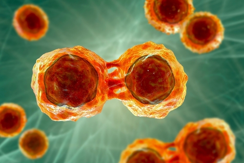 Pluripotent stem cells