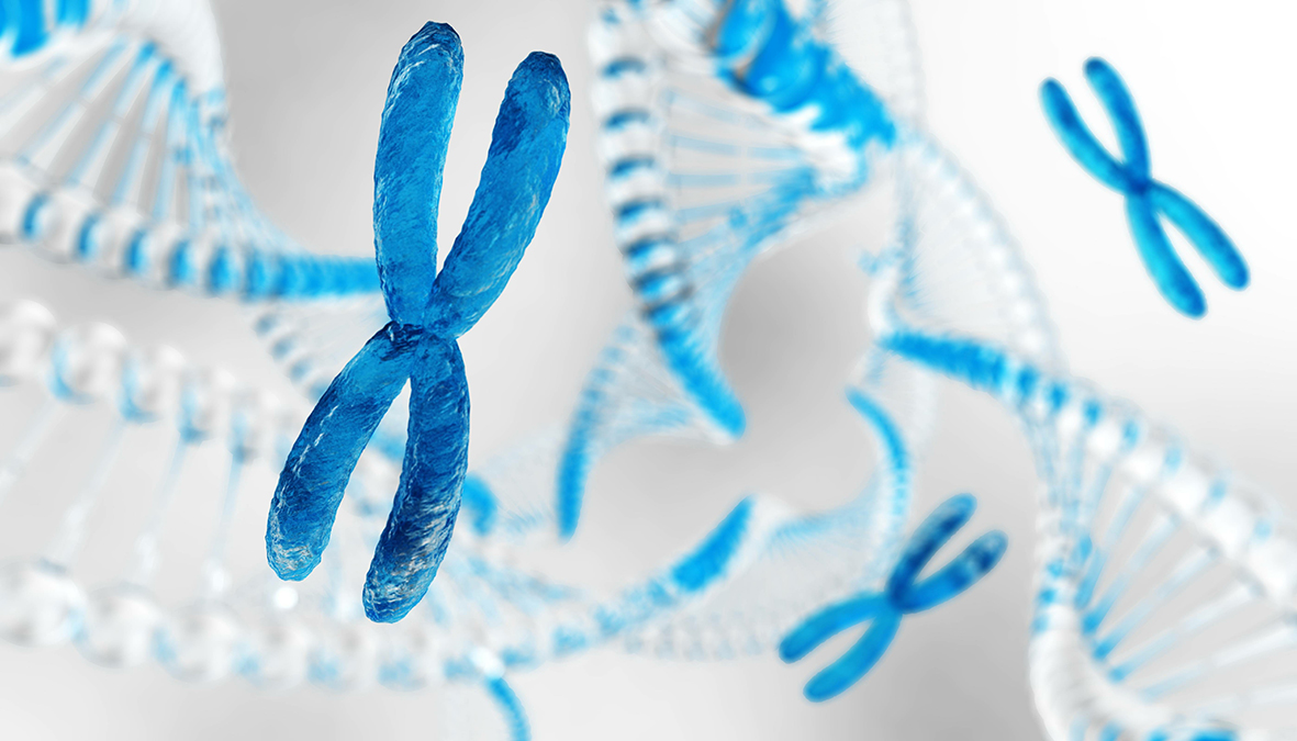 Chromosomes DNA
