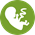 Early Pregnancy