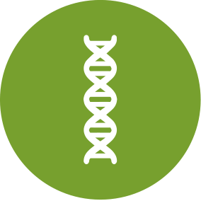 Genetics