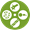 Stem Cells
