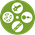 Stem Cells