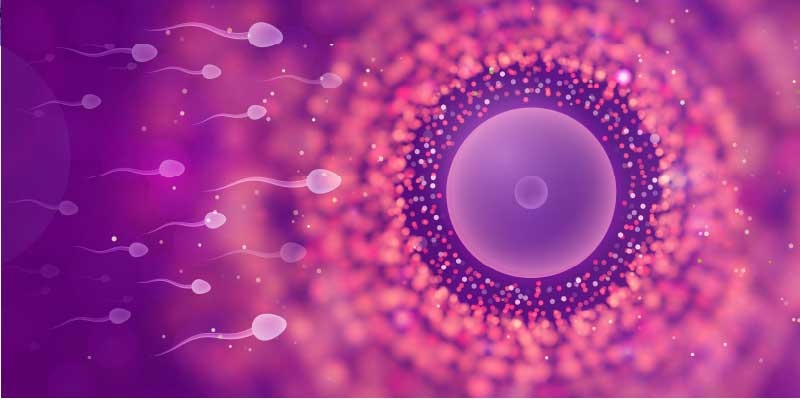 ESHRE 2023 Copenhagen