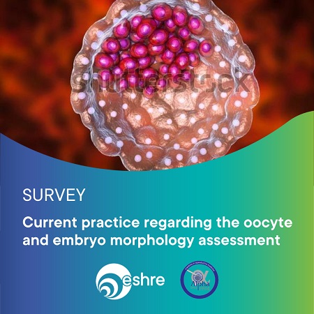 Survey Istanbul Consensus