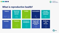 What is reproductive health