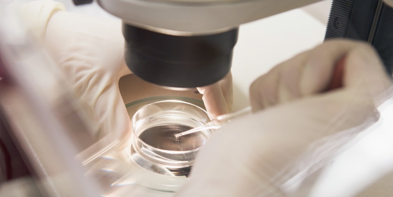 ESHRE Webinar 2023 Tips for the embryologists certification exam
