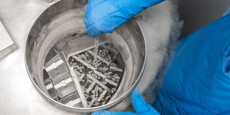 ESHRE Webinar: Cryopreservation