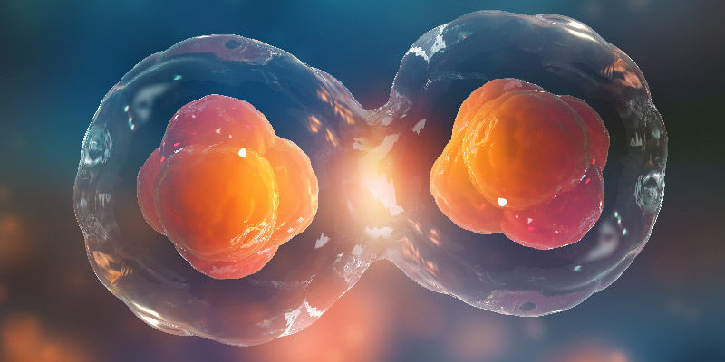ESHRE Webinar: Red alert